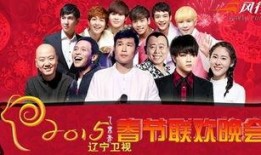 辽宁春晚爆料视频播放网站,精彩瞬间抢先看