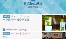 岳西最新爆料新闻报道,揭秘事件背后惊人真相！